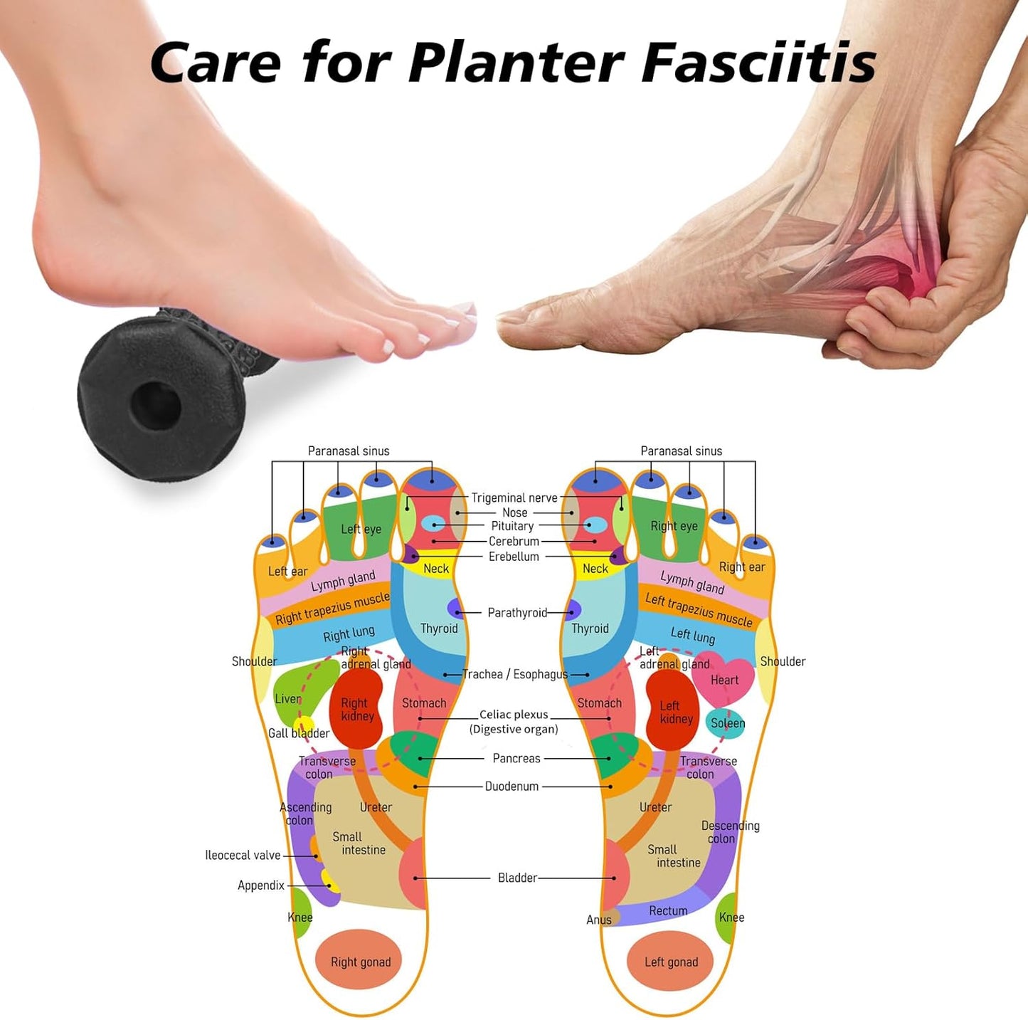 Plantar Fasciitis Relief,Foot Roller,Foot Massager Roller for Arch and Heel Pain Relief,Care for Plantar Fasciitis,Deep Tissue Muscle Massage,Portable Reflexology Tool